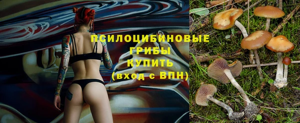 мяу мяу мука Богородицк