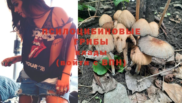 соль курить ск Богданович